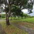  Land for sale in General Trias City, Cavite, General Trias City