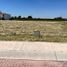  Land for sale in Celaya, Guanajuato, Celaya