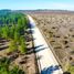 Terreno (Parcela) en venta en Maule, Cauquenes, Cauquenes, Maule