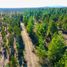  Terreno (Parcela) en venta en Maule, Cauquenes, Cauquenes, Maule