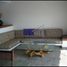 4 Habitación Casa en alquiler en Jose Azueta, Guerrero, Jose Azueta, Guerrero