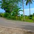  Land for sale in Carcar City, Cebu, Carcar City