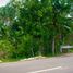  Land for sale in Carcar City, Cebu, Carcar City