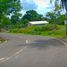  Land for sale in Carcar City, Cebu, Carcar City