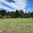 3 Habitación Casa en venta en Araucanía, Villarrica, Cautín, Araucanía