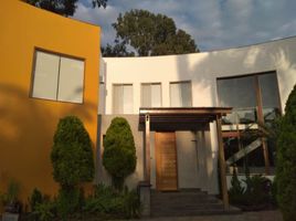 6 chambre Villa for rent in Lima, Chorrillos, Lima, Lima