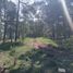  Land for sale in Tapalpa, Jalisco, Tapalpa