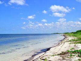  Land for sale in Yobain, Yucatan, Yobain