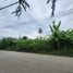  Land for sale in Central Visayas, Lapu-Lapu City, Cebu, Central Visayas