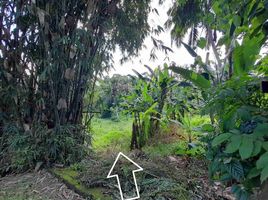  Tanah for sale in Ubud, Gianyar, Ubud