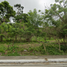  Land for rent in Amadeo, Cavite, Amadeo