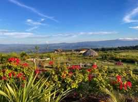  Terreno (Parcela) en venta en San Martín, Cacatachi, San Martín, San Martín