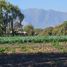  Land for sale in Maipo Santiago, Paine, Maipo, Santiago, Chile