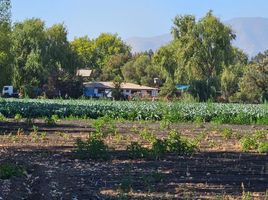  Land for sale in Maipo Santiago, Paine, Maipo, Santiago, Chile