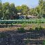  Land for sale in Maipo Santiago, Paine, Maipo, Santiago, Chile