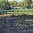  Land for sale in Maipo Santiago, Paine, Maipo, Santiago, Chile
