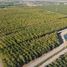  Terreno (Parcela) en venta en Chile, Requinao, Cachapoal, Libertador General Bernardo O'Higgins, Chile