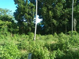  Land for sale in Dauis, Bohol, Dauis