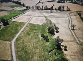  Land for sale in Chile, Chillan, Diguillin, Nuble, Chile