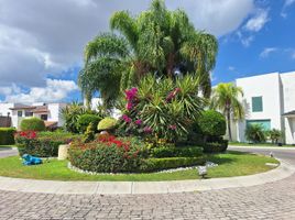 4 Schlafzimmer Appartement zu verkaufen in Queretaro, Queretaro, Queretaro, Queretaro