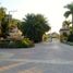  Land for sale in Minglanilla, Central Visayas, Minglanilla