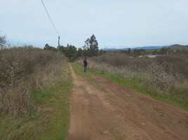  Land for sale in Chile, Maule, Talca, Maule, Chile