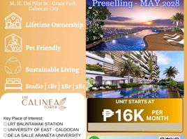 Studio Appartement zu verkaufen in Northern District, Metro Manila, Caloocan City