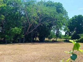  Land for sale in Turbaco, Bolivar, Turbaco