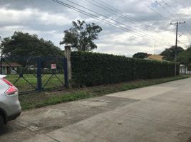  Land for sale in Tulua, Valle Del Cauca, Tulua