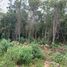  Land for sale in Cancun, Quintana Roo, Cancun
