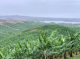  Terreno (Parcela) en venta en Santa Elena, Santa Elena, Santa Elena