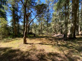  Land for sale in Mineral Del Chico, Hidalgo, Mineral Del Chico