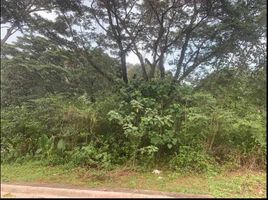  Terreno (Parcela) en venta en Cebu City, Central Visayas, Cebu City, Cebu, Central Visayas, Filipinas