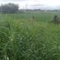  Land for sale in Tarlac City, Tarlac, Tarlac City