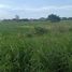  Land for sale in Tarlac City, Tarlac, Tarlac City