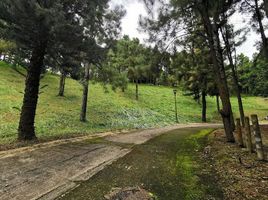  Land for sale in Cavite, Calabarzon, Tagaytay City, Cavite