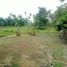  Land for sale in Talisay City, Cebu, Talisay City