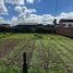  Land for sale in Cuenca, Azuay, Cuenca, Cuenca