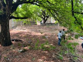  Terreno (Parcela) en venta en Iguala De La Independencia, Guerrero, Iguala De La Independencia