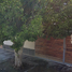 Villa 4 chambre à vendre à Torreon, Coahuila, Torreon