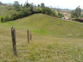  Terreno (Parcela) en venta en El Carmen De Viboral, Antioquia, El Carmen De Viboral