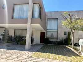 Maison 3 chambre à louer à Toluca, Mexico, Toluca