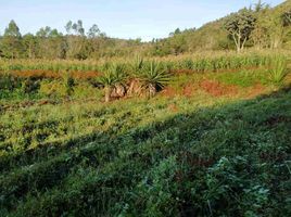  Terreno (Parcela) en venta en San Vicente, Antioquia, San Vicente