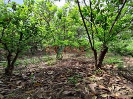  Terreno (Parcela) en venta en San Miguel de Acos, Huaral, San Miguel de Acos