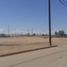 在Baja California出租的 土地, Mexicali, Baja California