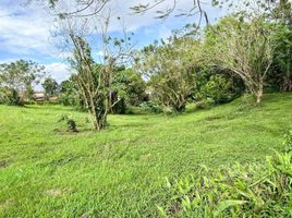  Land for sale at Ponderosa Leisure Farms, Silang