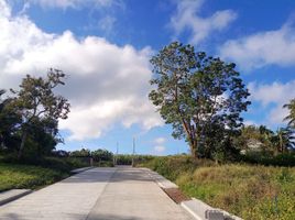 在Alfonso, Cavite出售的 土地, Alfonso