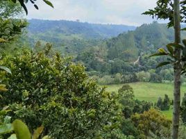 2 Habitación Casa en venta en Colombia, Salento, Quindio, Colombia