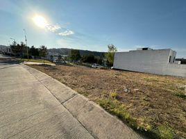  Terreno (Parcela) en venta en Zapopan, Jalisco, Zapopan, Jalisco