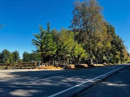  Terreno (Parcela) en venta en Loncoche, Cautín, Loncoche